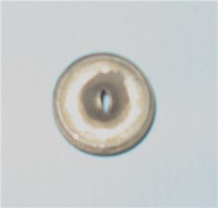 thermo electronics 1/2